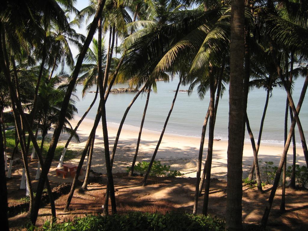 ホテルChera Rocks Beach House Thottada 部屋 写真